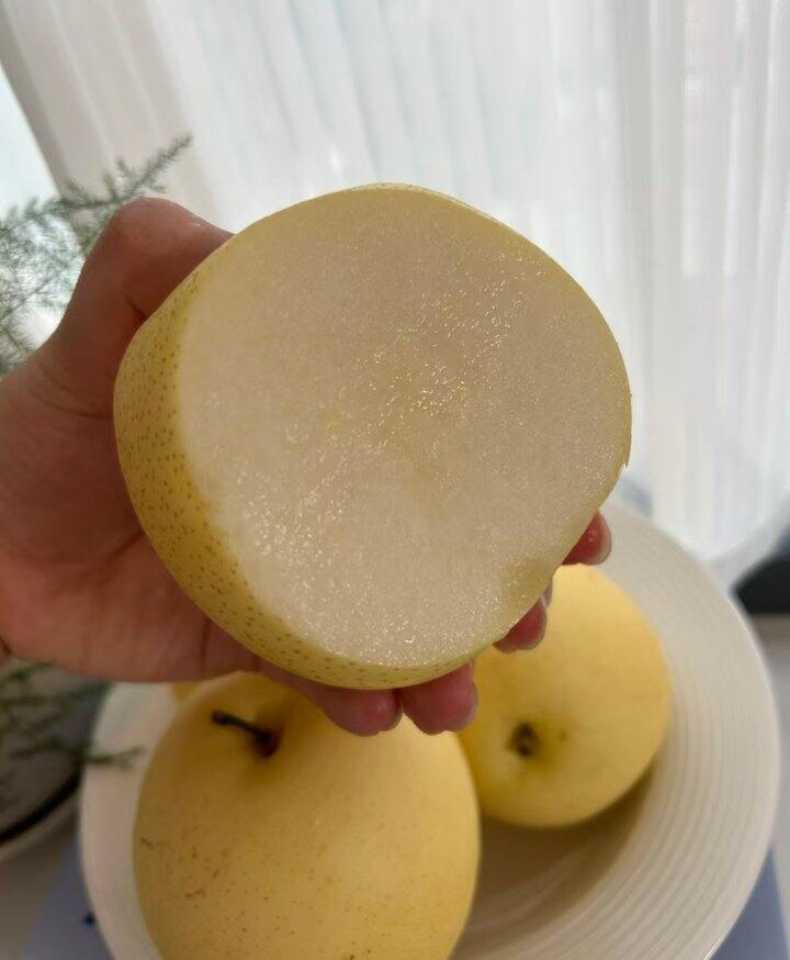 苍溪黄金梨