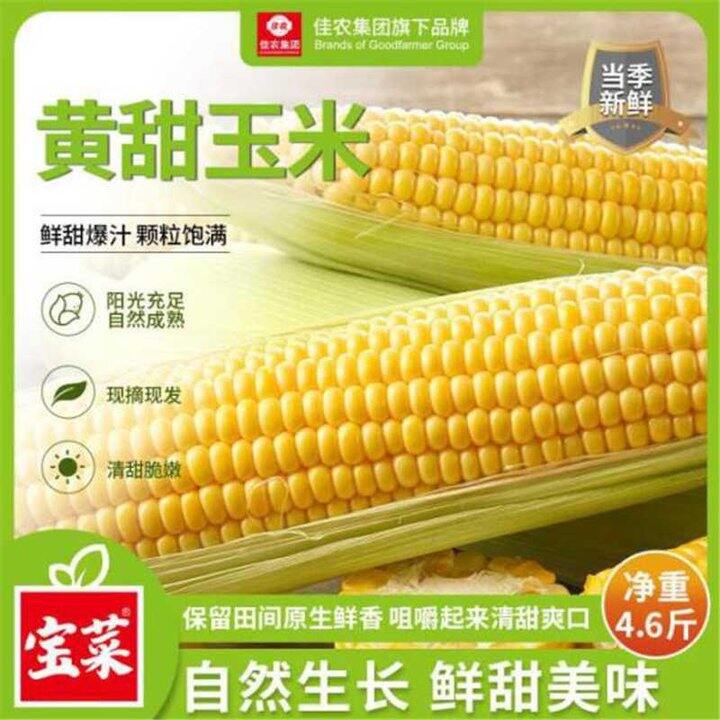 自营农蔬🈴