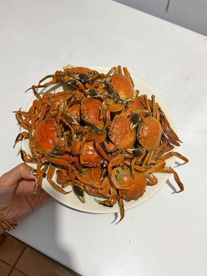 蟹