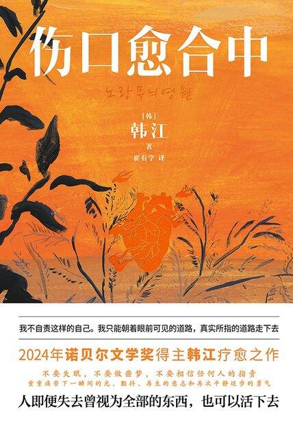《伤口愈合中》韩江，读后感