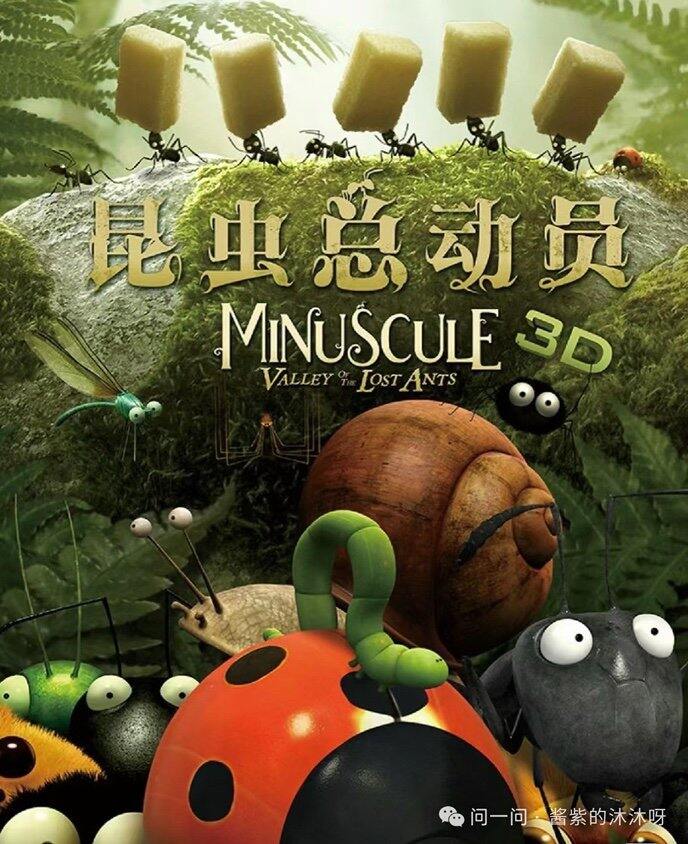 《微观小世界 昆虫总动员 -2季》百度网盘分享
