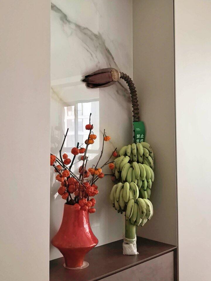 本周花花大赏——芭蕉
