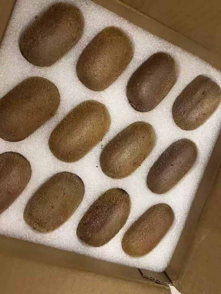修文猕猴桃🥝