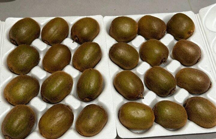 京鲜生陕西徐香绿心猕猴桃🥝