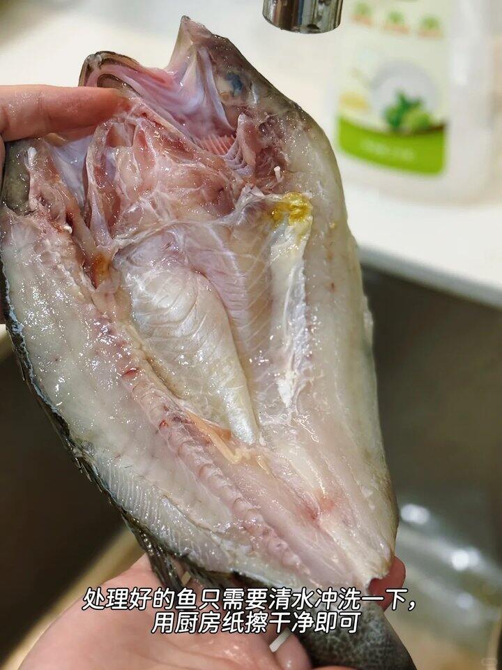 开背海鲈鱼🐟