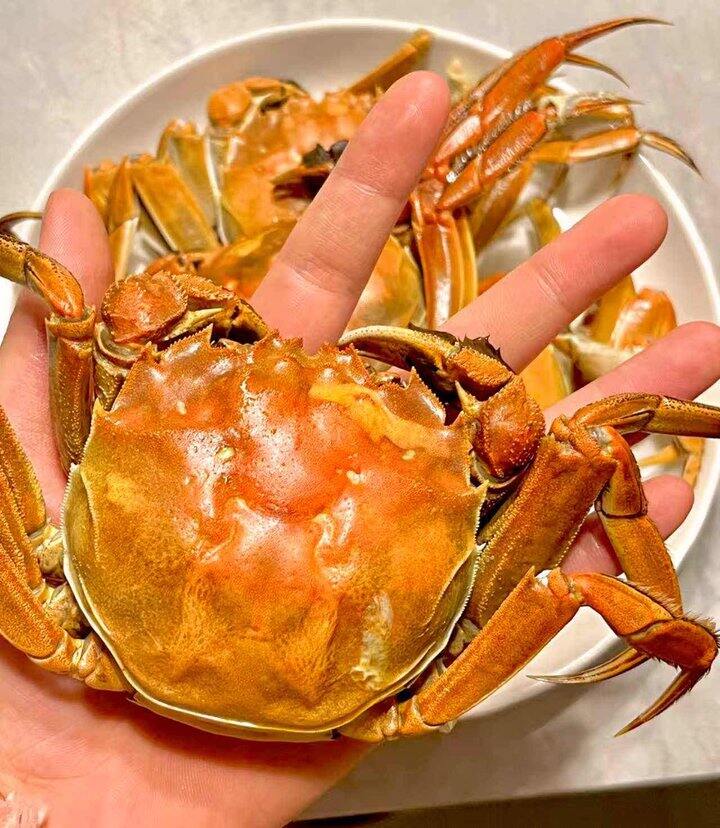 自营大闸蟹🦀