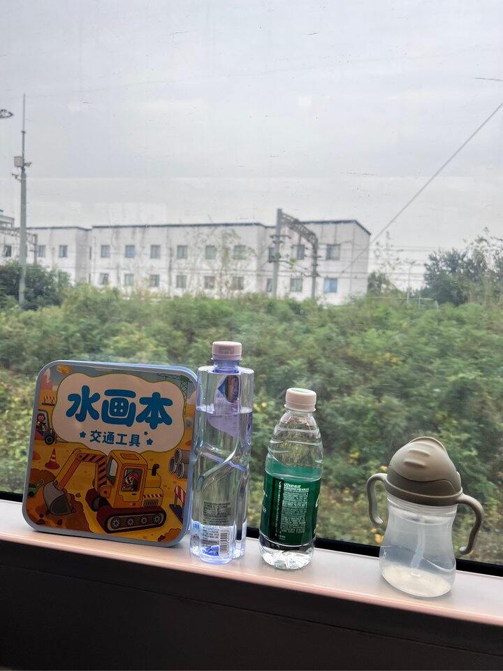 19月龄再次独自带娃坐高铁！