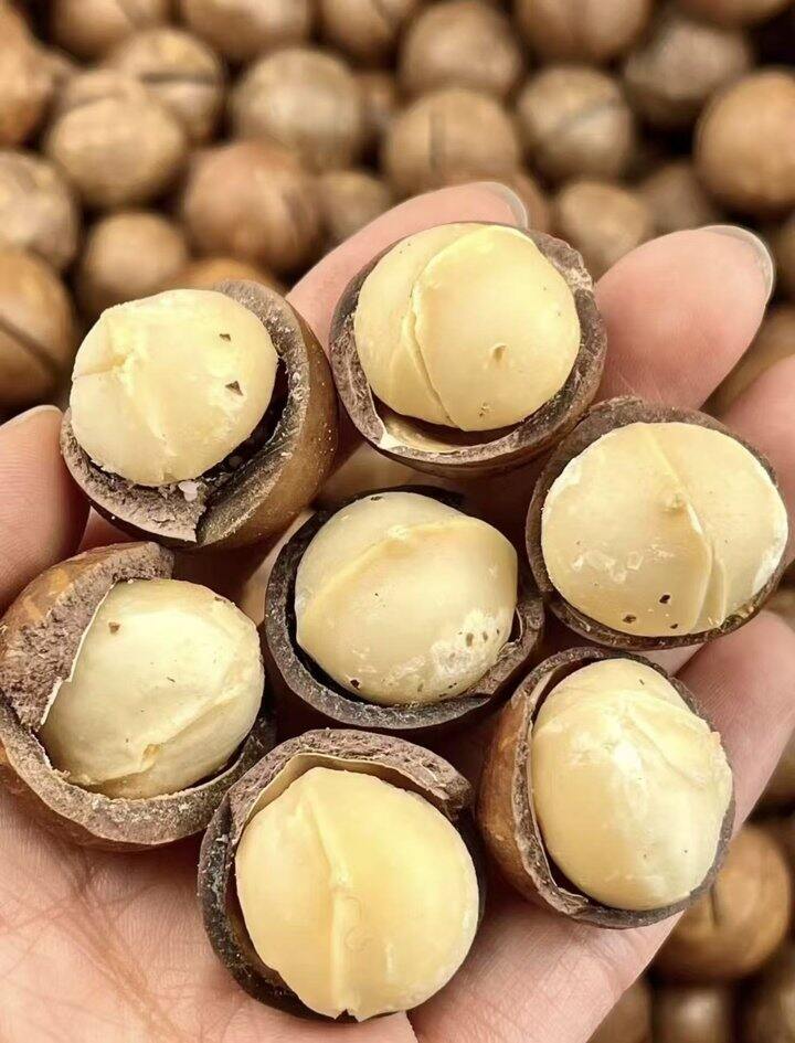 夏威夷果