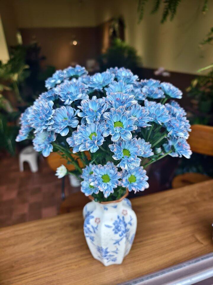 帅汤开店日记——第26天