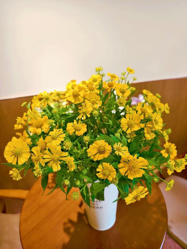 帅汤开店日记