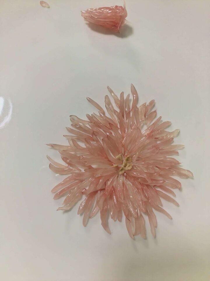 柚子花花