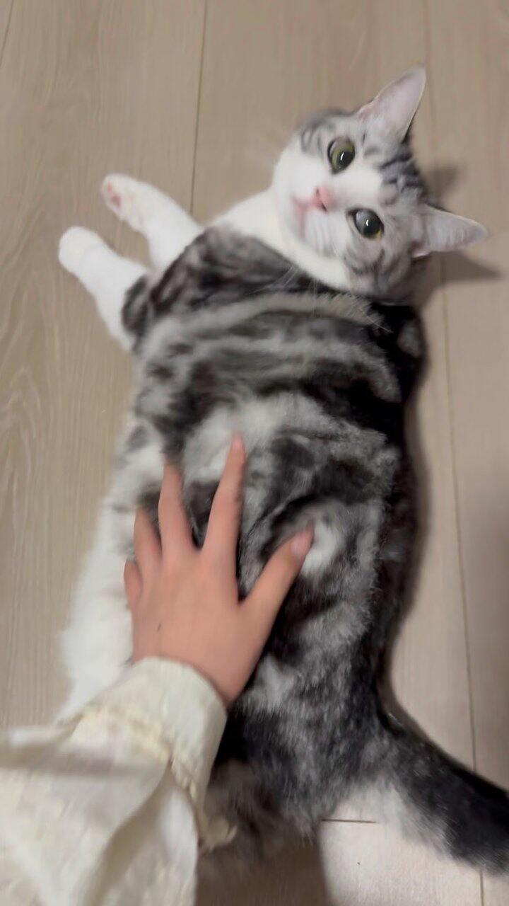 悄悄咪咪问一下