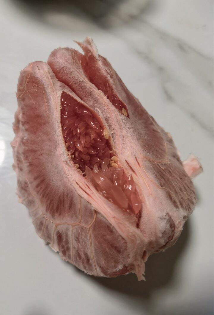 柚子