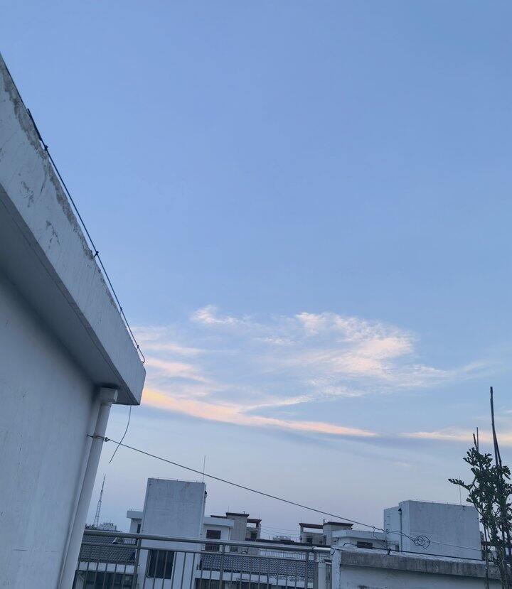 优酷芒果网易云会员还有需要的吗