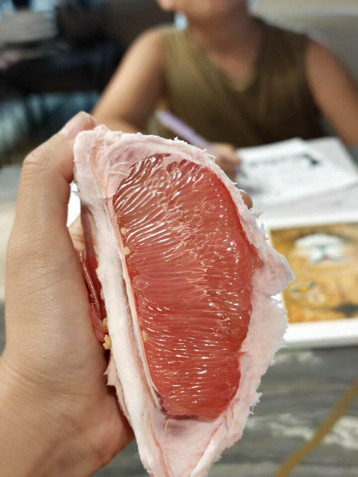福建柚