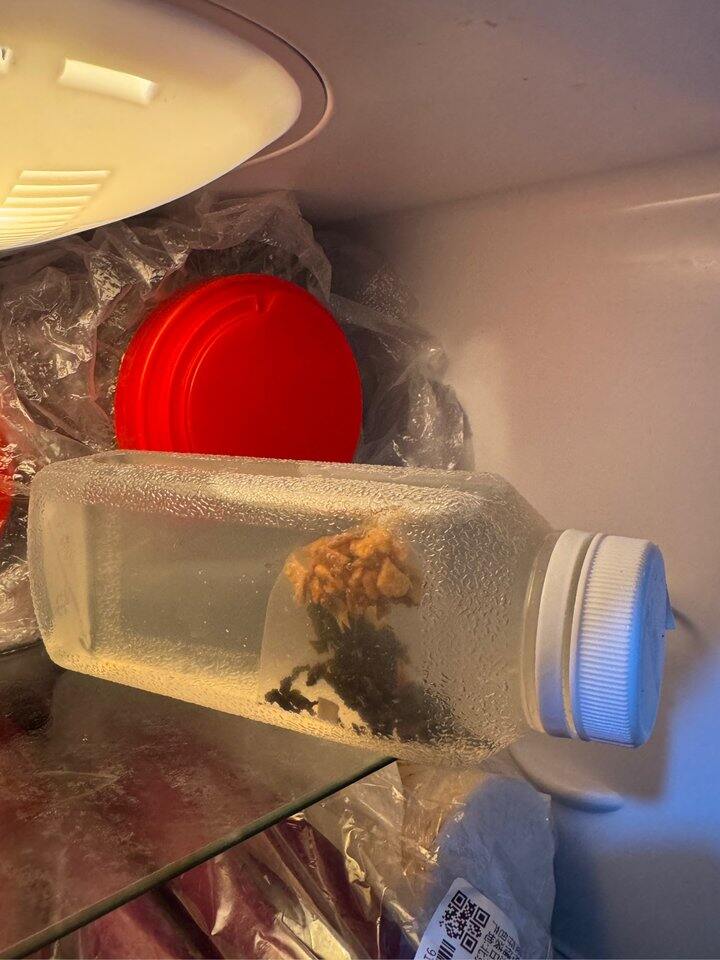 冷泡茶