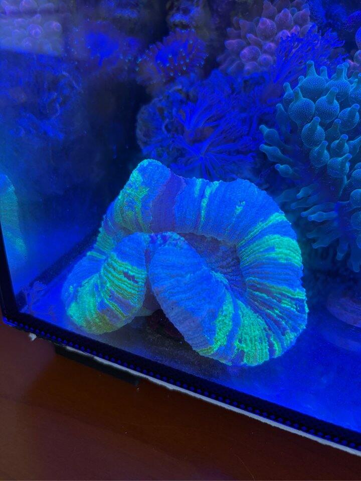 做梦