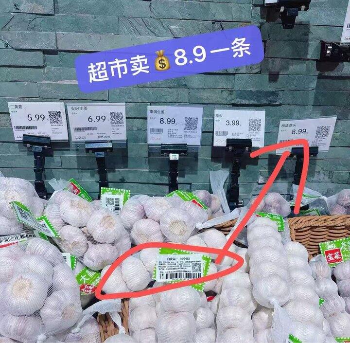9.9💰宝菜 紫白皮大蒜200g*4条