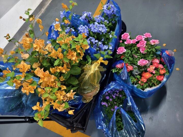 帅汤开店日记第30天