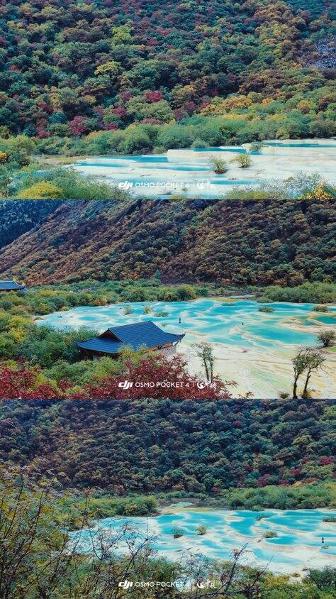 来去7天半，四川之旅结束🔚