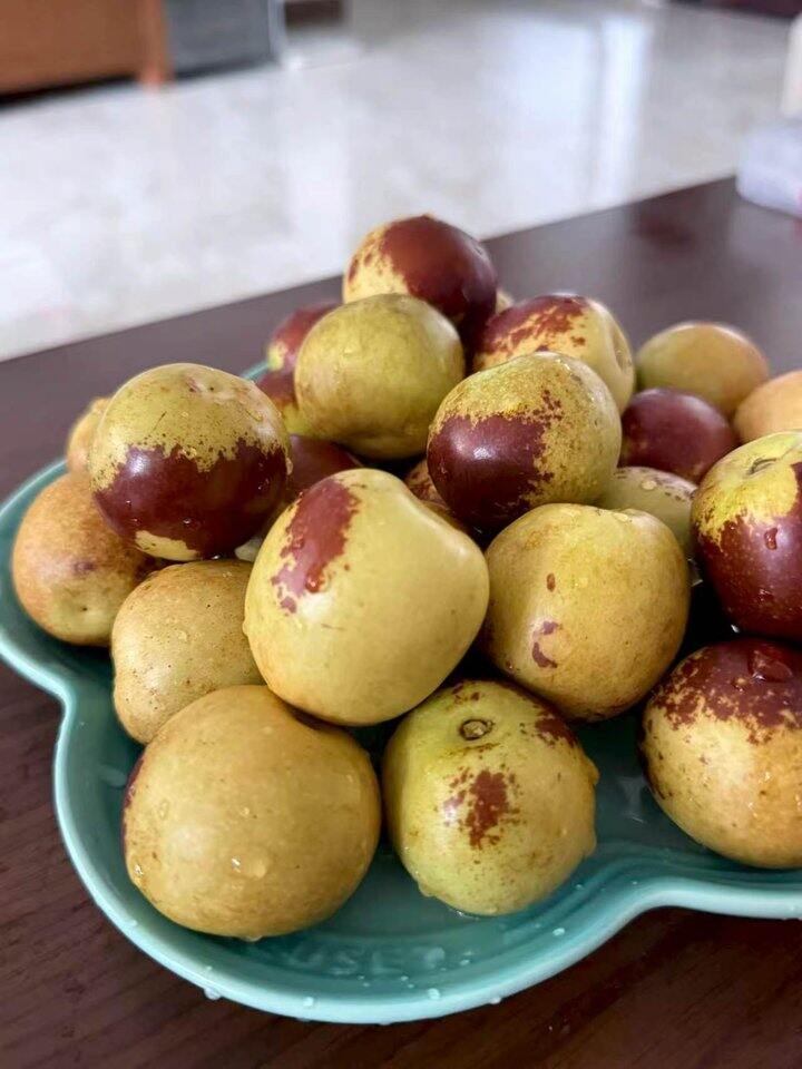 冬枣