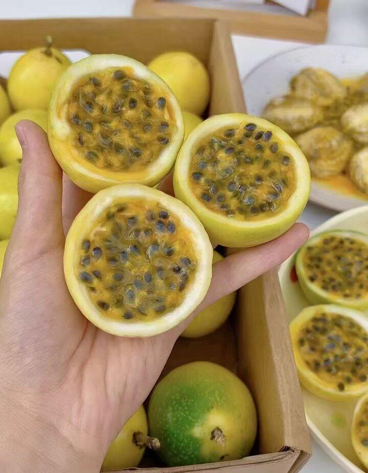 黄金百香果