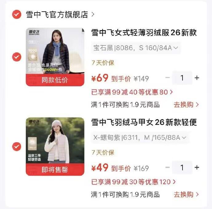 雪中飞💰49