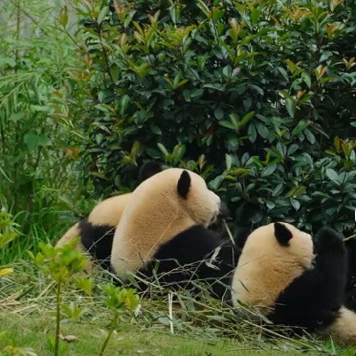 家庭聚会的目标：安全度过聚会