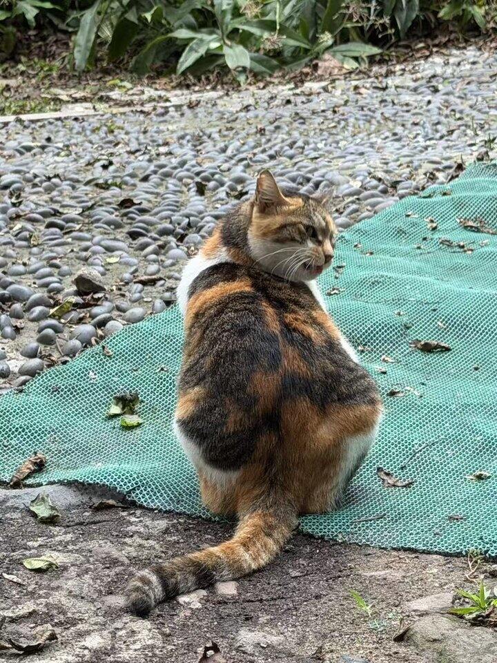 北方美女也太多了