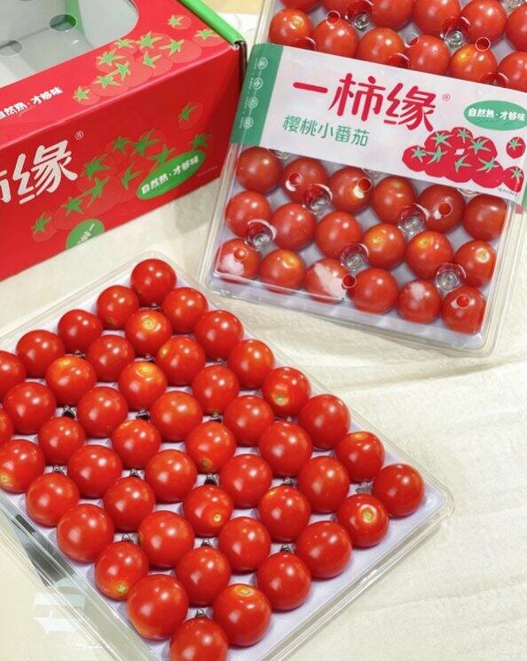樱桃小番茄