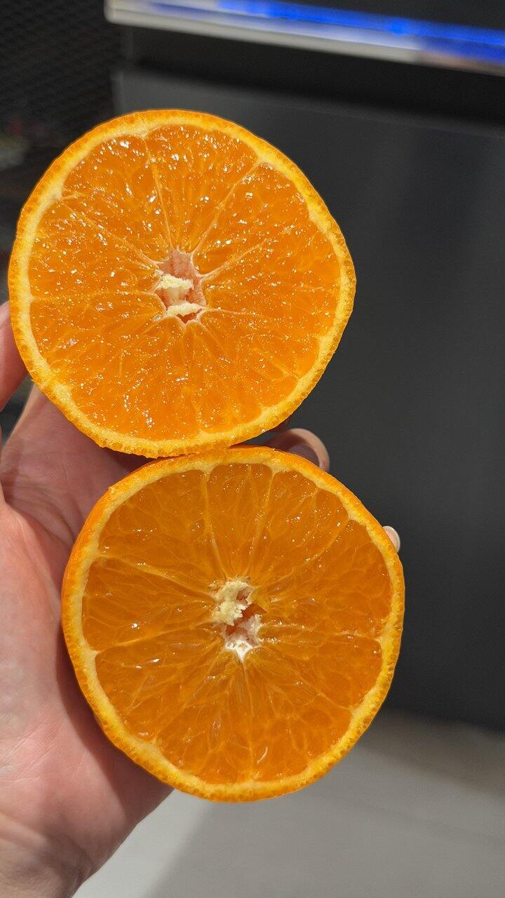 蜜桔