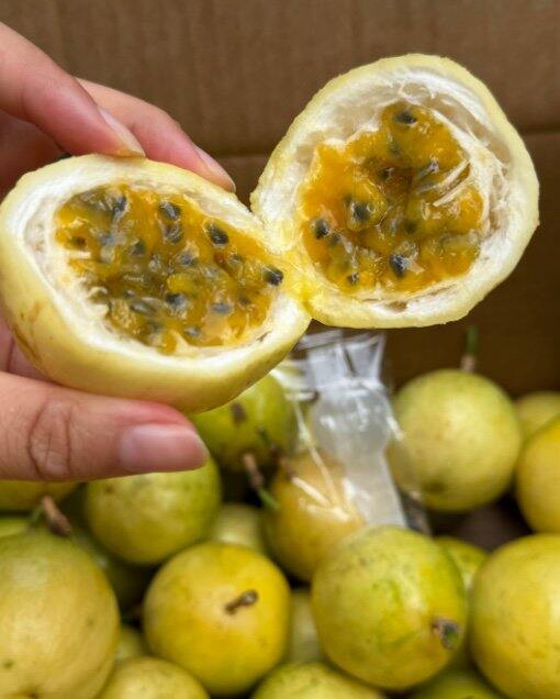 京鲜生正宗钦蜜9号百香果！