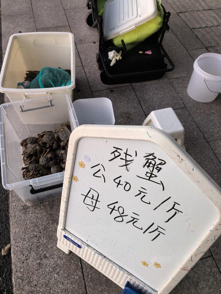 说了好久的摆摊今天行动啦！