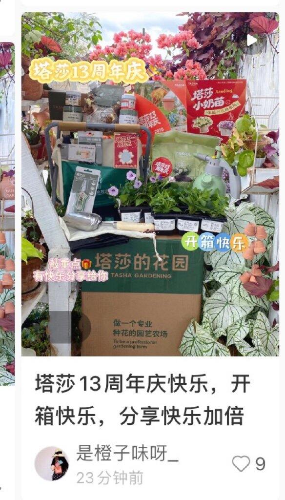 塔莎礼盒开箱 有抽奖