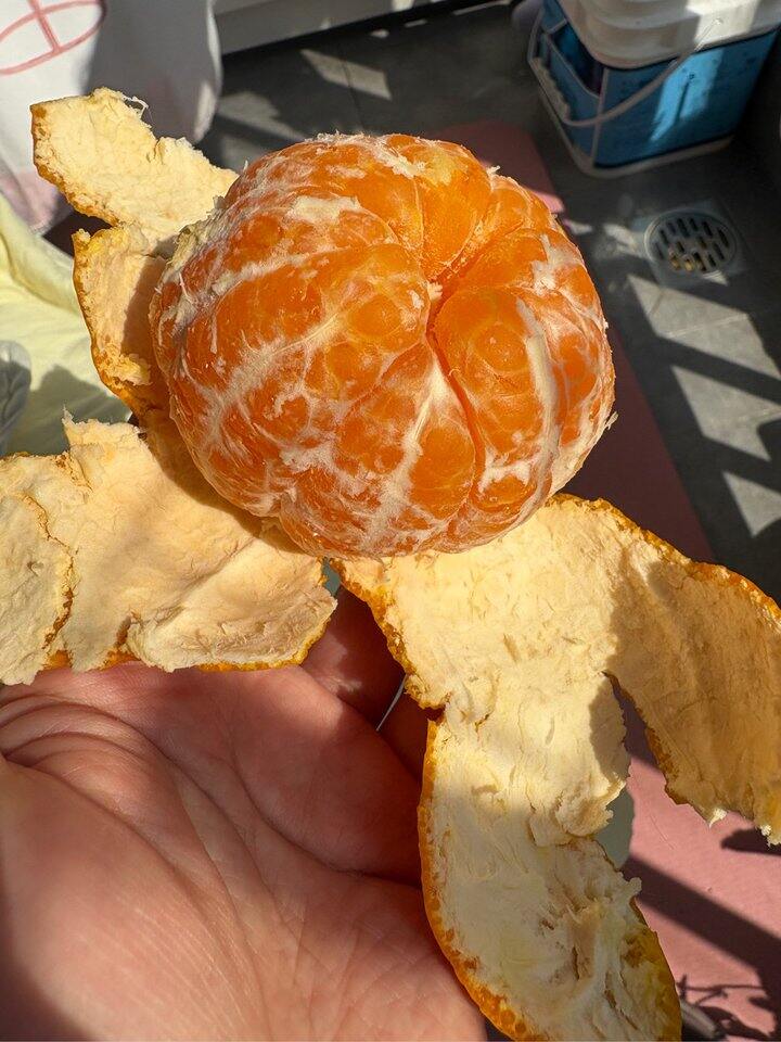 这个好吃