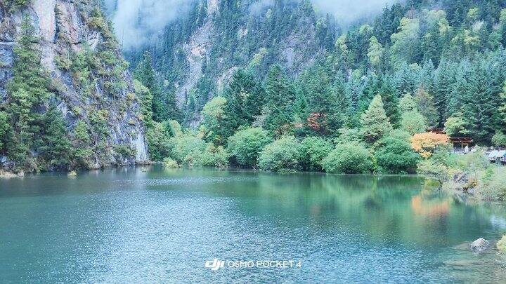 花费4500的四川之旅总结