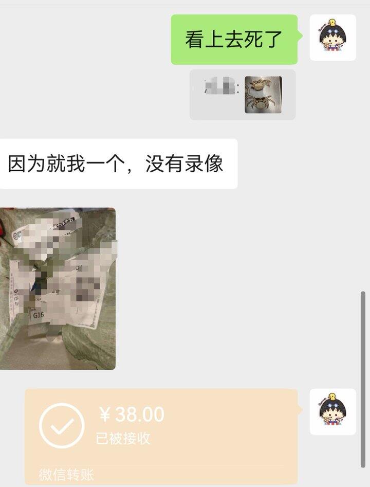 吃蟹的友友们放心，售后超快的