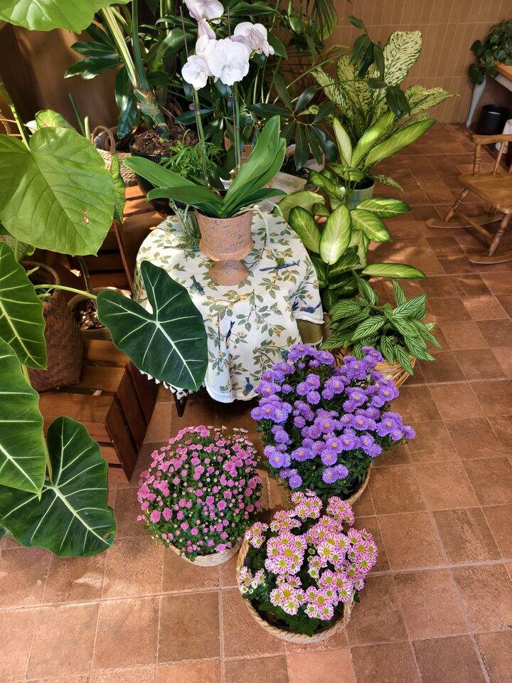 帅汤开店日记——第39天