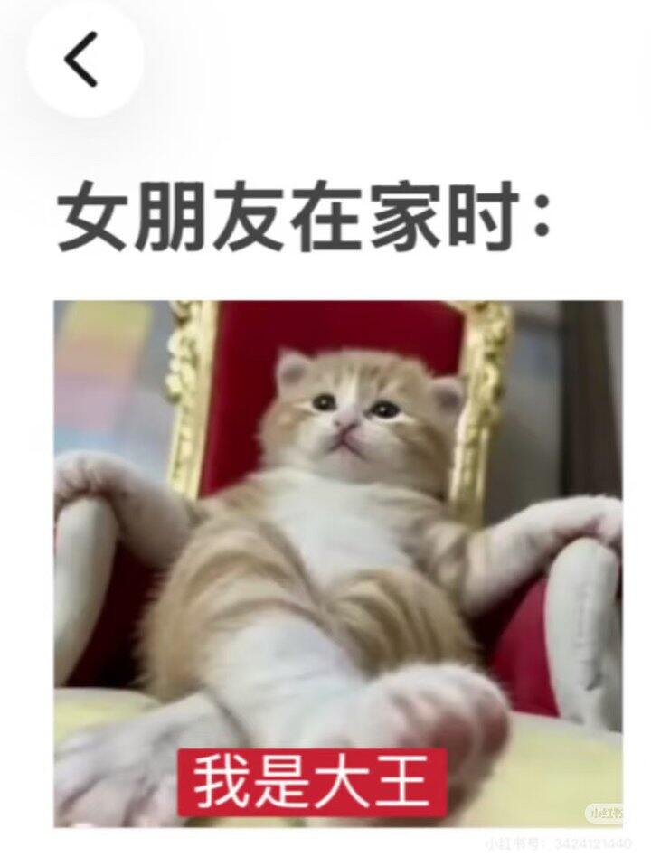 请问