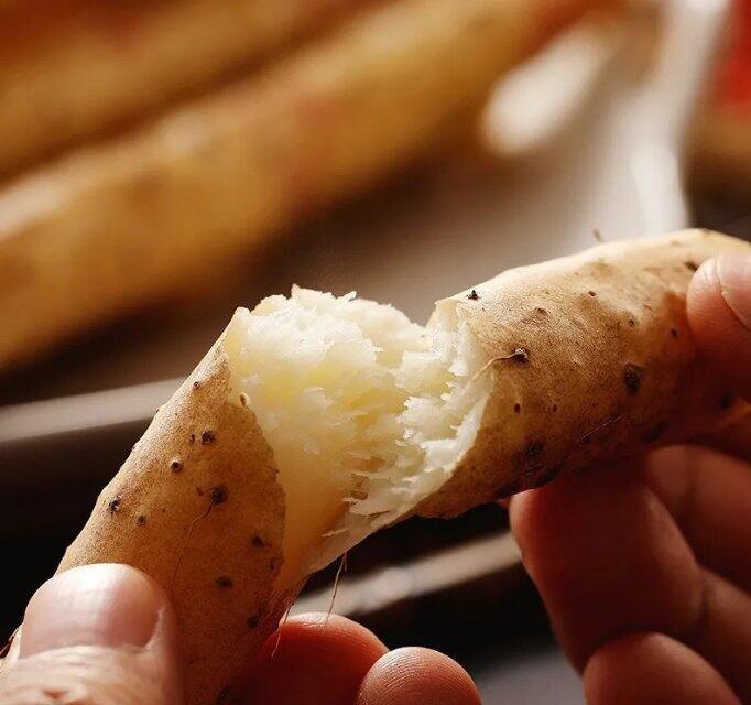 【秋冬养胃神仙食材｜小白嘴山药】限时抢购28.8元/箱