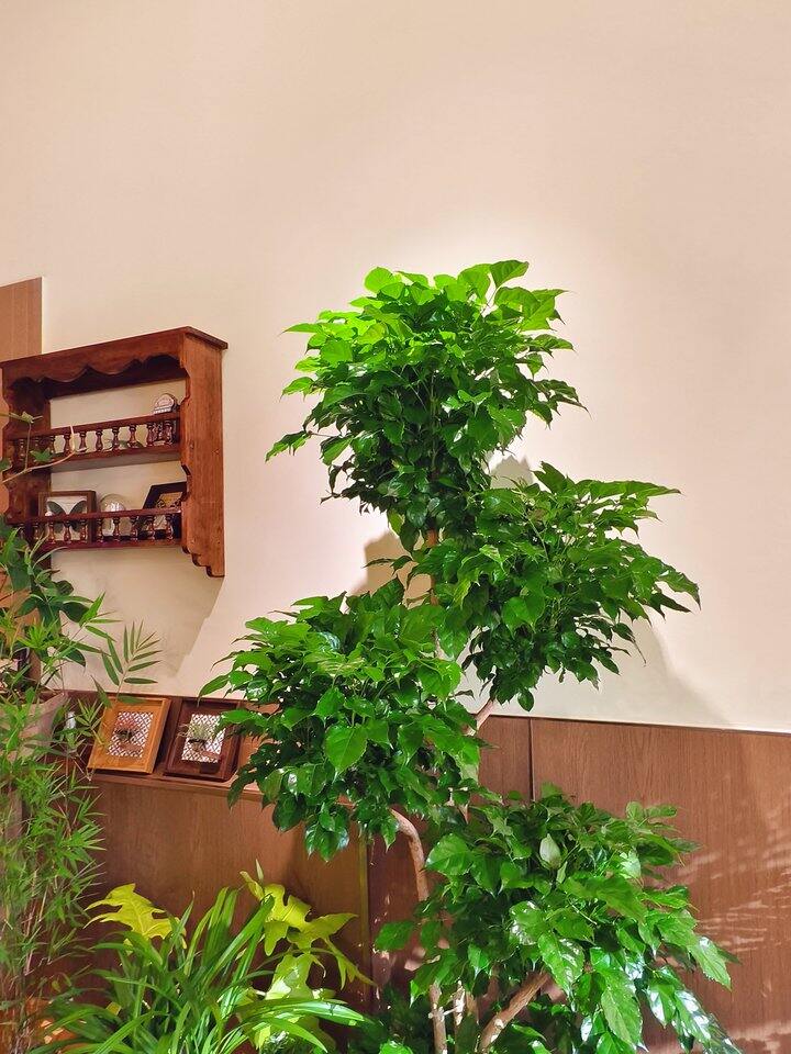 开店遇到问题啦，想请教一下大家