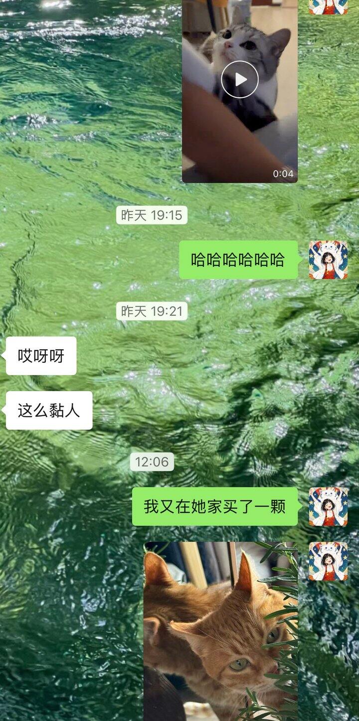 很不理解