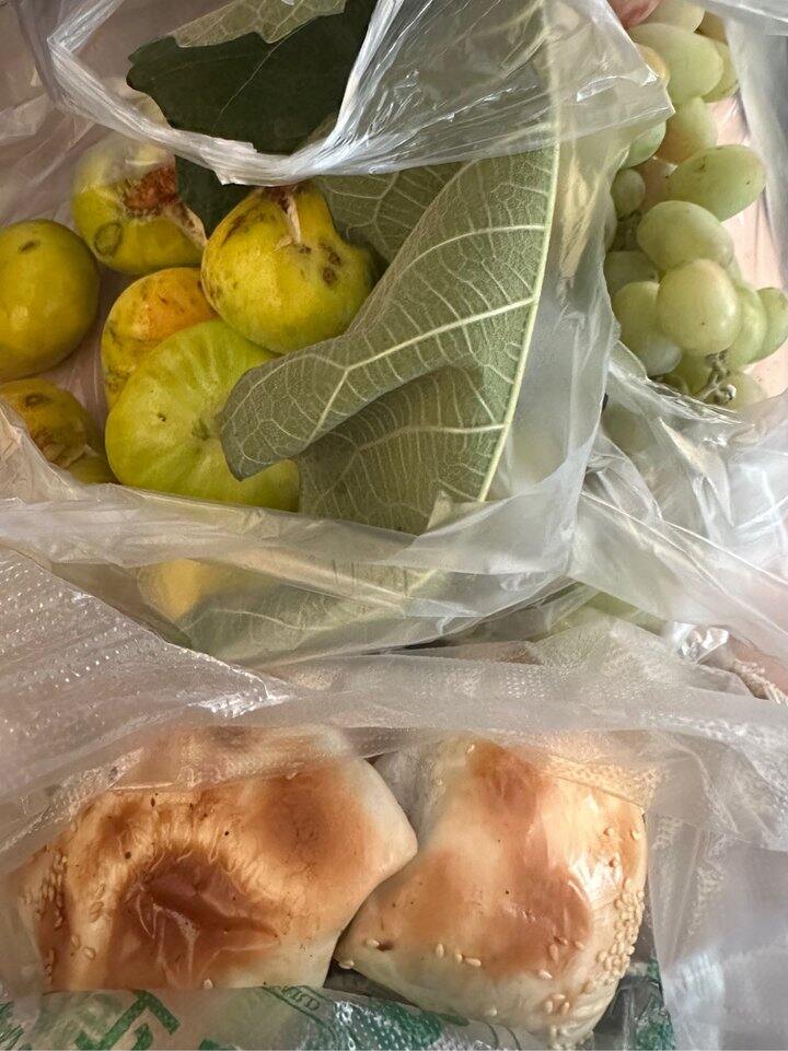 来新疆后