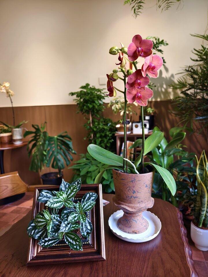 帅汤开店日记