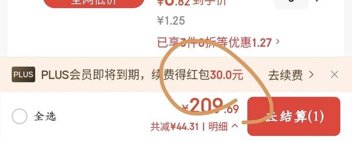 开通/续费plus