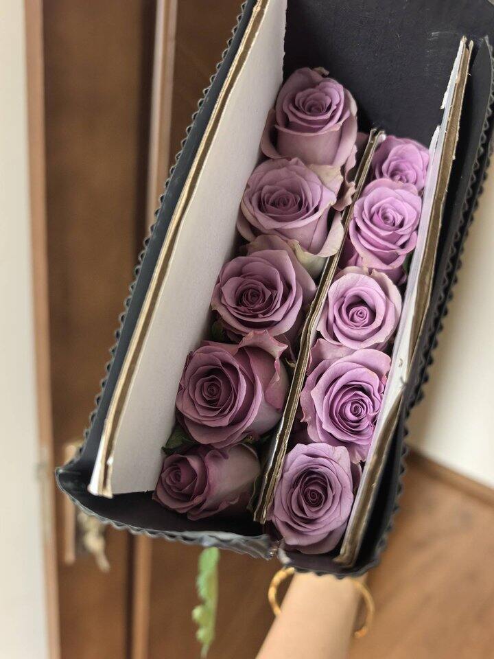 自营玫瑰花🌹