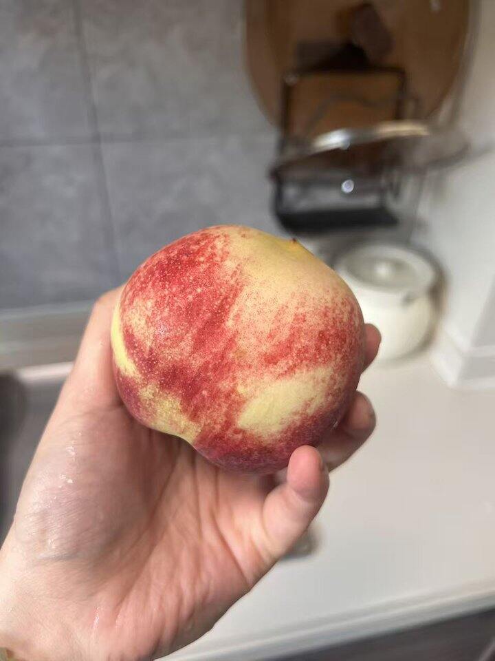 脆口桃