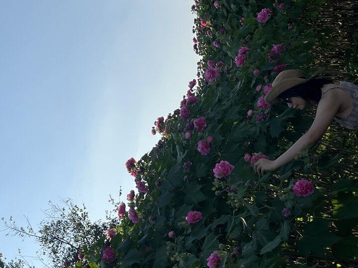 广西药用植物园秋日赏花季