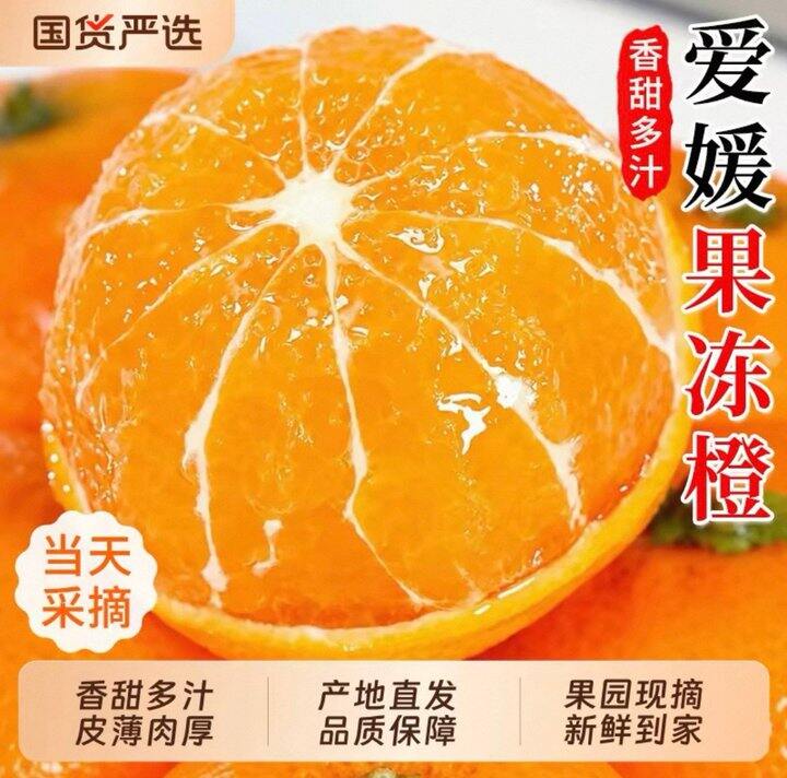 五斤爱媛好价