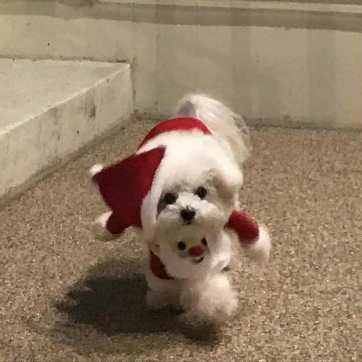 TF